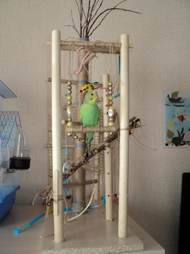 Какие ветки можно попугаю в клетку. Игрушки для попугая корелла в клетку. Веточки для попугаев. Игровой стенд для попугаев. Игровая площадка для волнистого попугая.