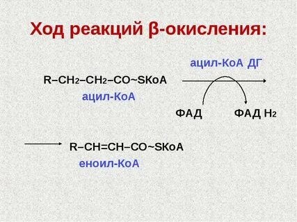 Ацил