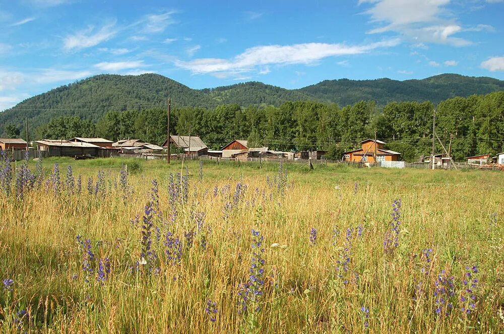 Шебалинский район село