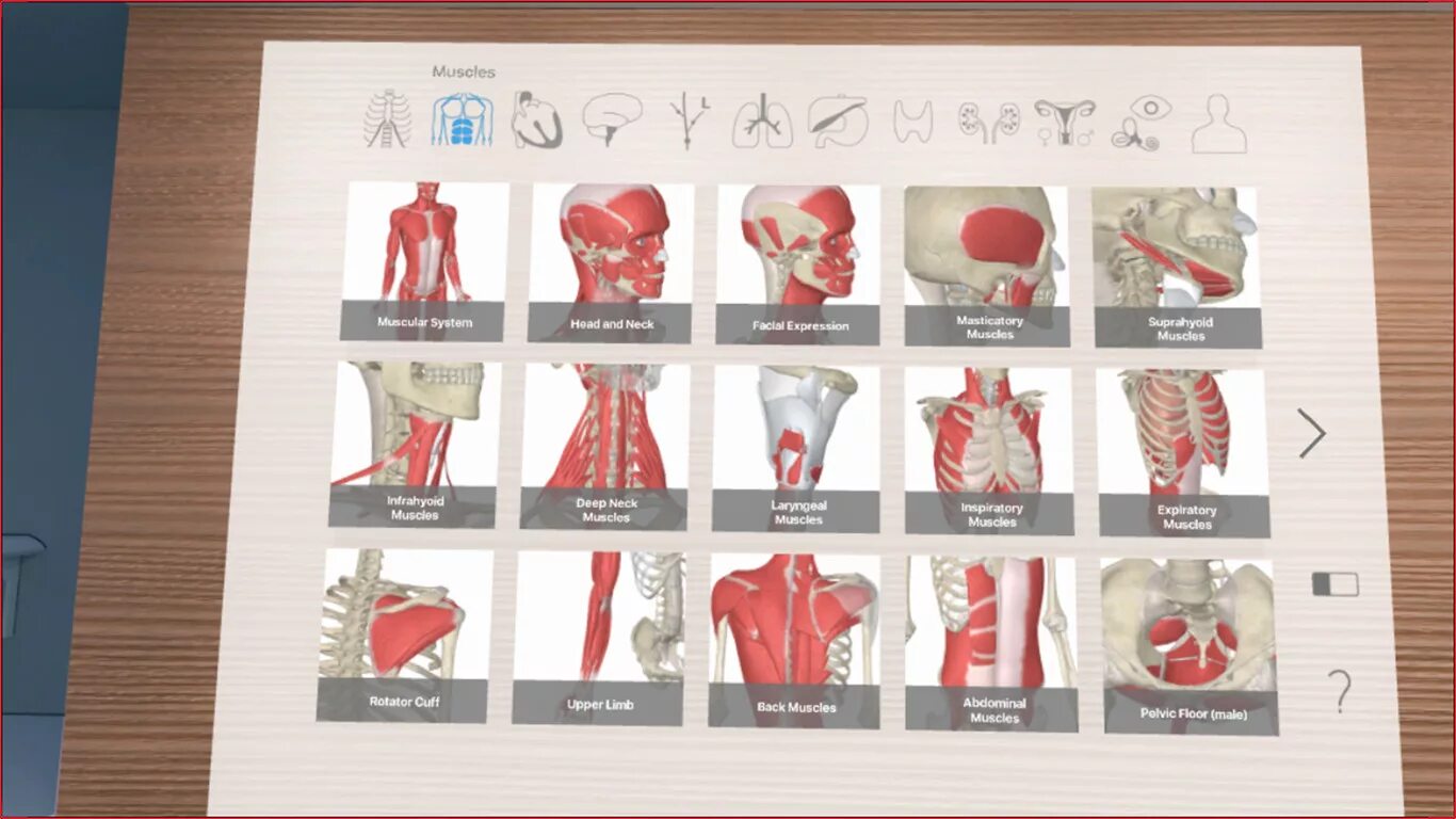 Anatomy 4pda. 3d organon vr anatomy. 4. 3d organon vr anatomy. анатомический атлас виртуальная реальность.