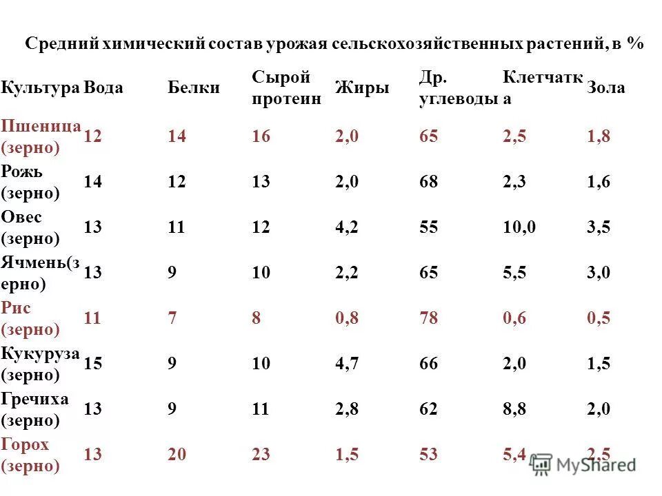 Состав белков пшеницы. Средний химический состав зерновых. Химический состав зерна. Химический состав пшеницы. Средний химический состав урожая сельскохозяйственных растений, в %.