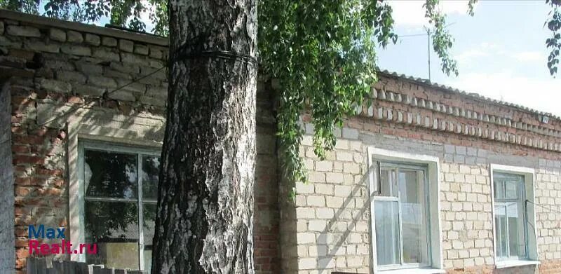 Недвижимость горняк локтевский. Авито горняк локтевский район алтайский край. Горняк недвижимость. Сельсовет кировское. Недвижимость горняк локтевский.