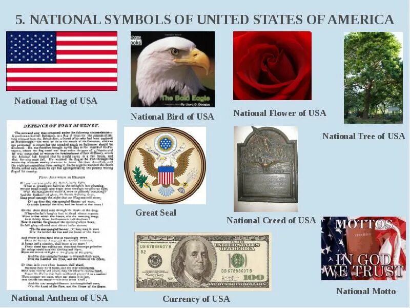 Векторные символы америка. Символ америки тату. Символ ша. 5 символов сша. Символы америки.