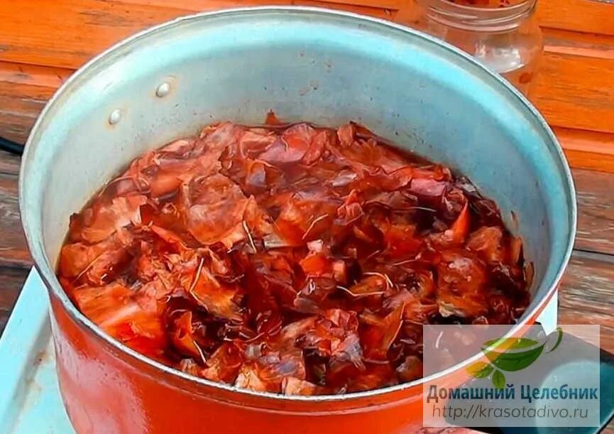 Настой луковой шелухи для рассады. Подкормка рассады отваром луковой шелухи. Луковая шелуха для рассады. Луковая шелуха. Луковая шелуха для огорода.