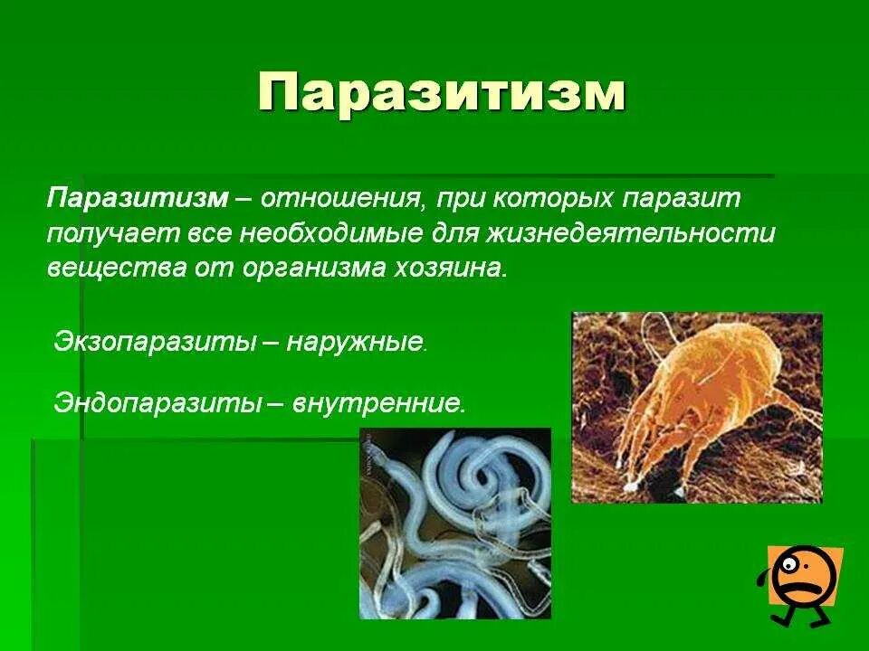 Что такое паразитизм кратко 5 класс. Паразитизм это в биологии. Паразитизм определение. Паразиты живых организмов.