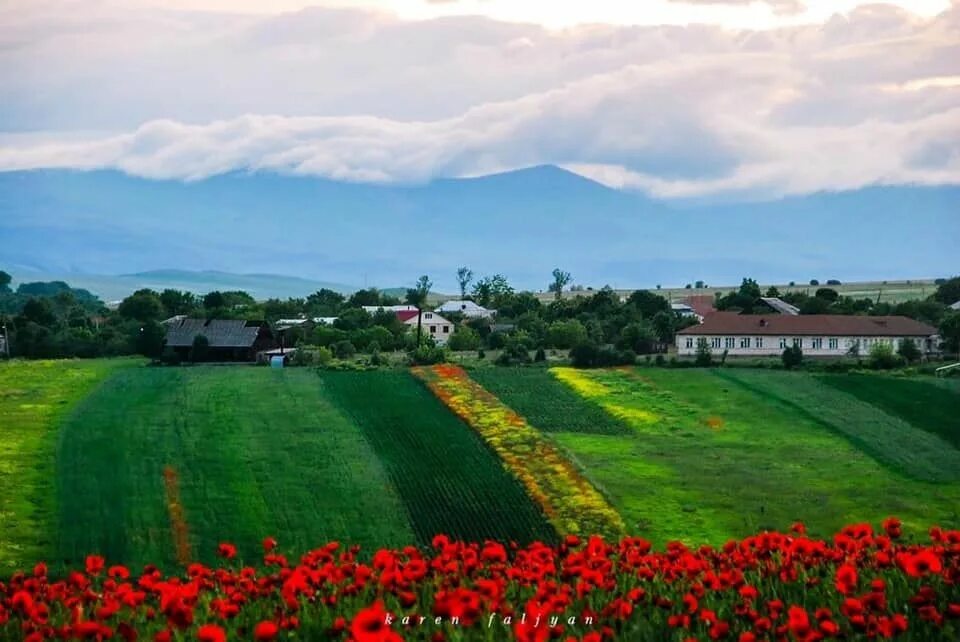 Лори с зеленью. Lori Villages.