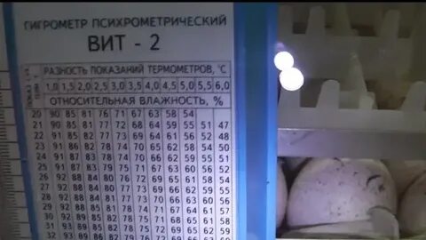 Влажность воздуха в инкубаторе