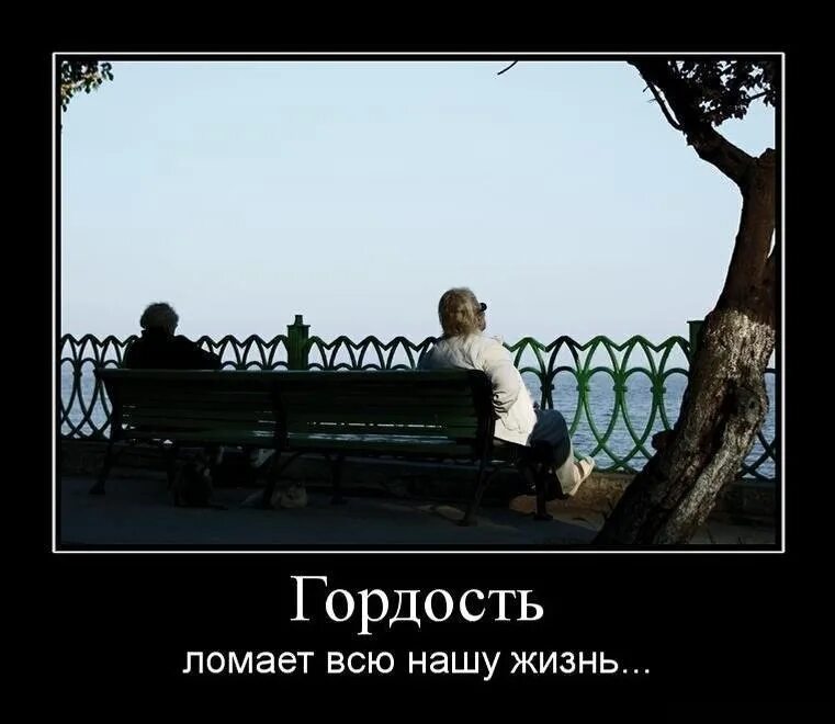 Когда гордость становится разрушительной. Гордыня демотиватор. гордость демотиватор. статусы про гордых людей. демотиваторы со смыслом.