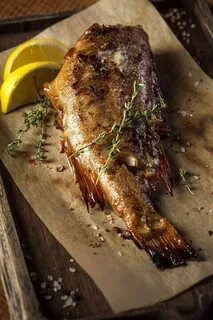 Морской окунь на мангале рецепты