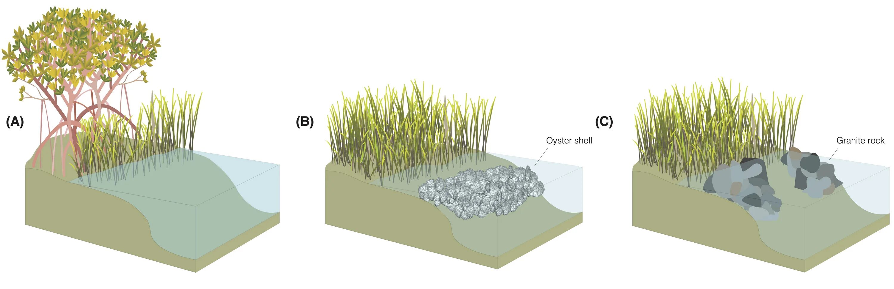 Ecosystem loss. Novel ecosystems. Ecosystem Restoration Specialist.. Degradation and Transformation of vegetation.