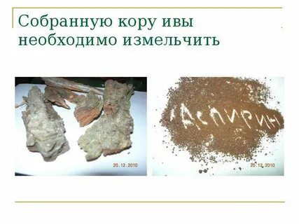 Из какой коры получили аспирин