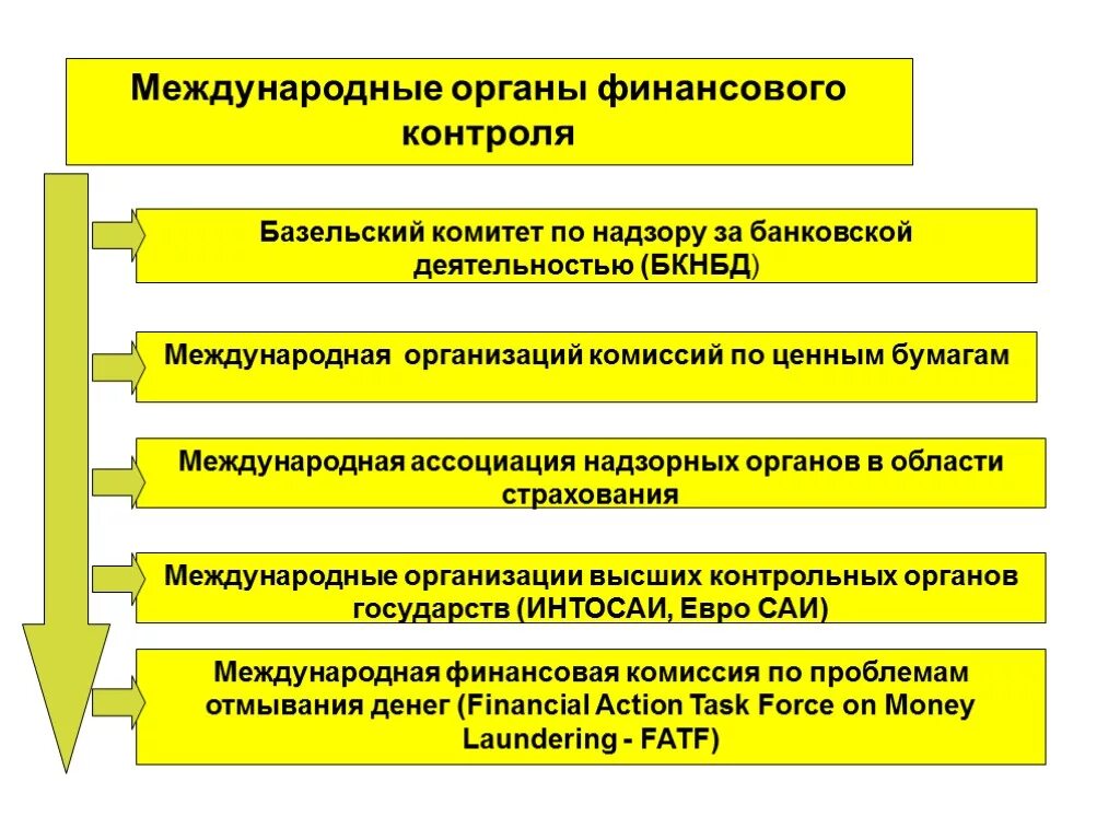 Органы государственного контроля их функции. Органы государственного контроля их функции