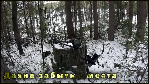 Все из за металлокопа дзен новое видео