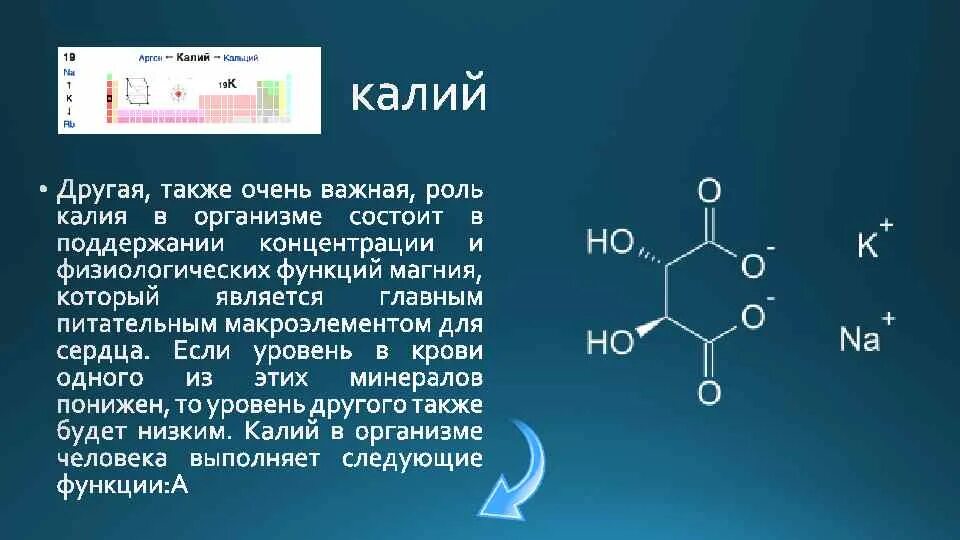 Калий 6.2. Калий функции в организме человека. Калий роль в организме. Роль калия в организме человека. Значение калия в организме.