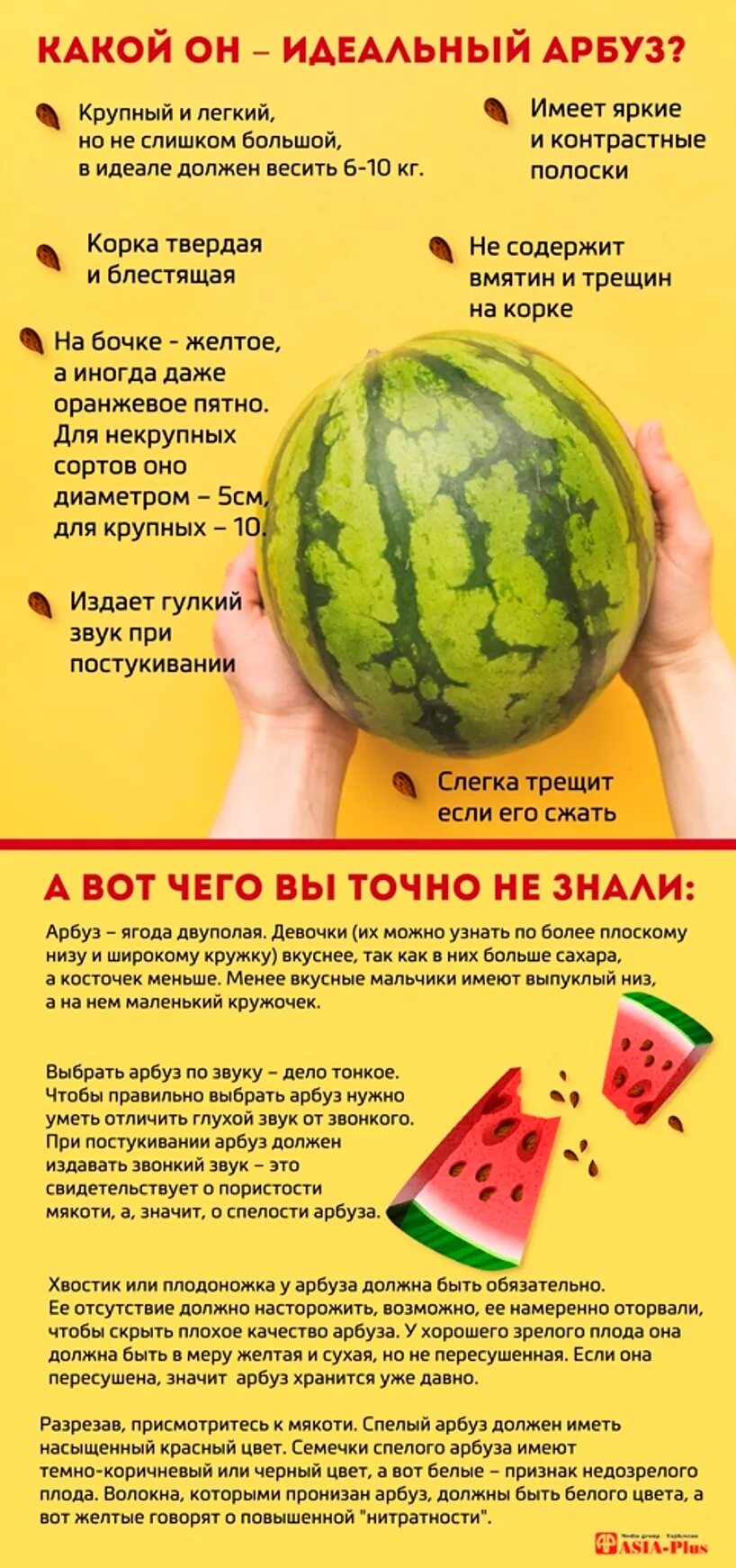 При выборе арбуза какой должен быть звук