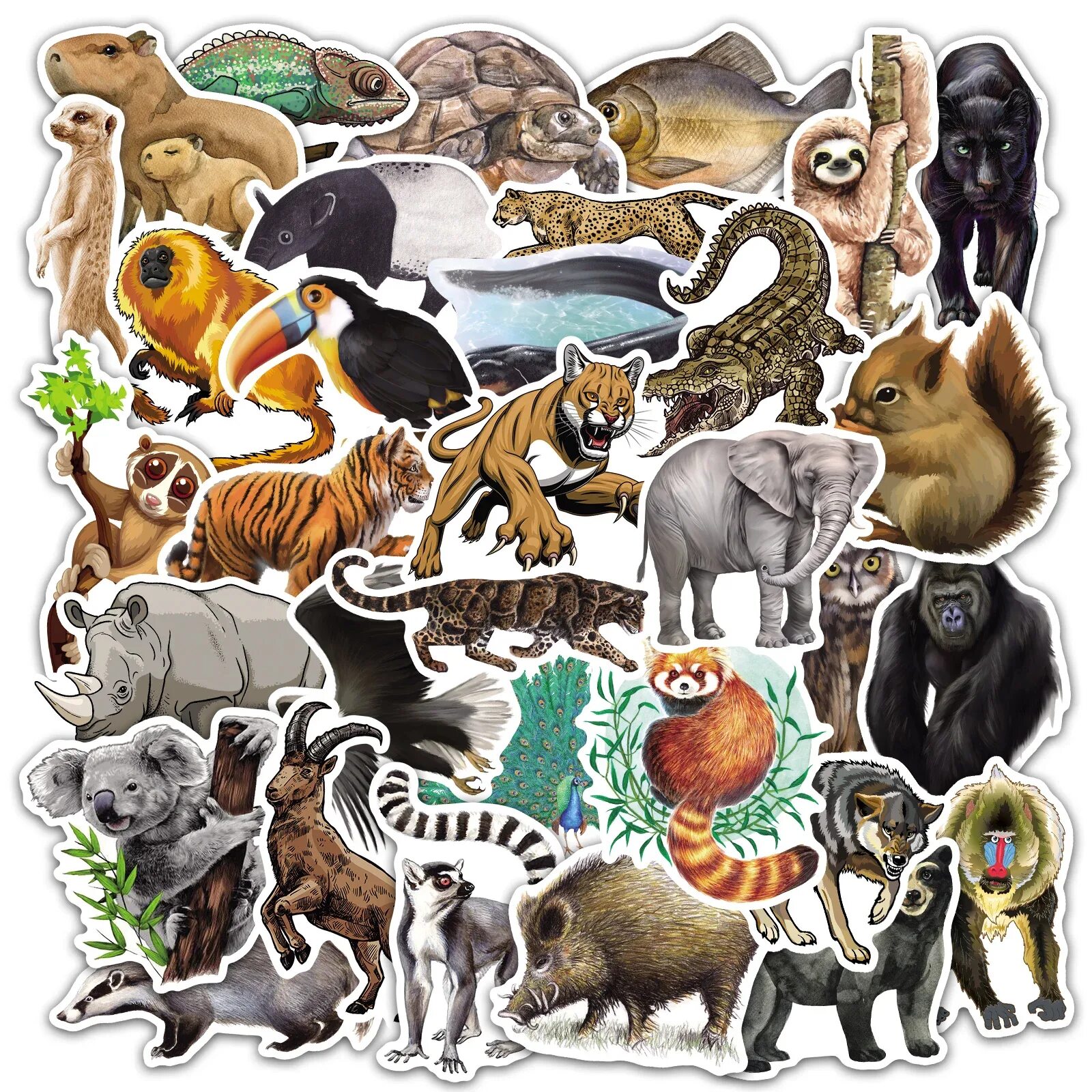 50 animals