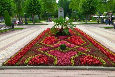 Кисловодск цветочный