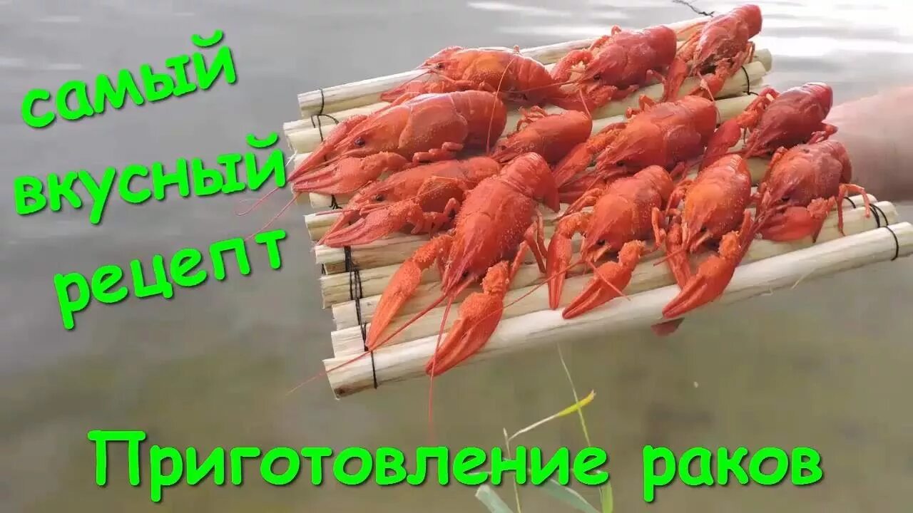 И рак готов