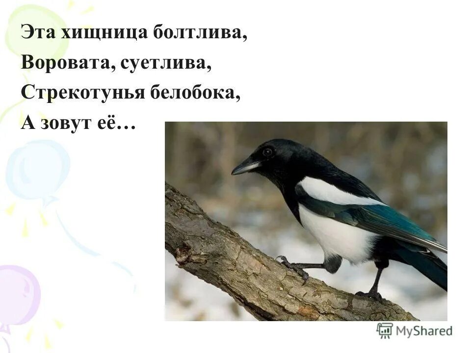 в каком месяце болтливая девочка