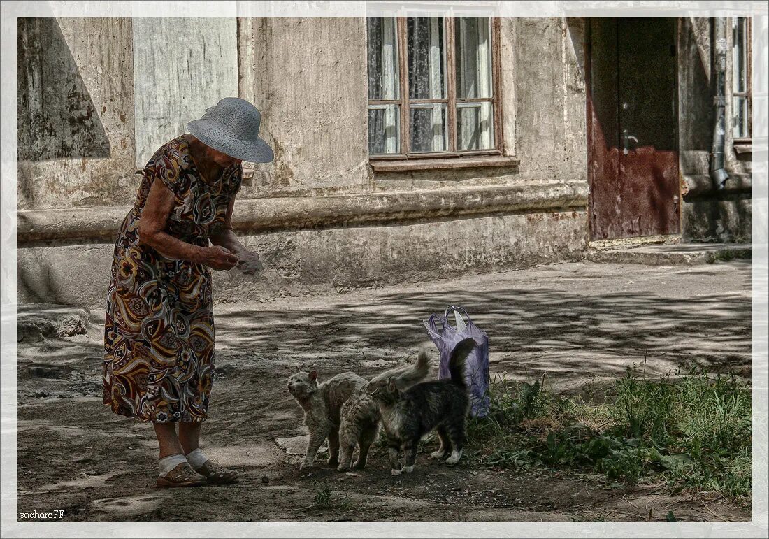 Без сострадания. Доброта и сострадание. Милосердие картинки. Сострадание картинки. Картины о доброте и милосердии.