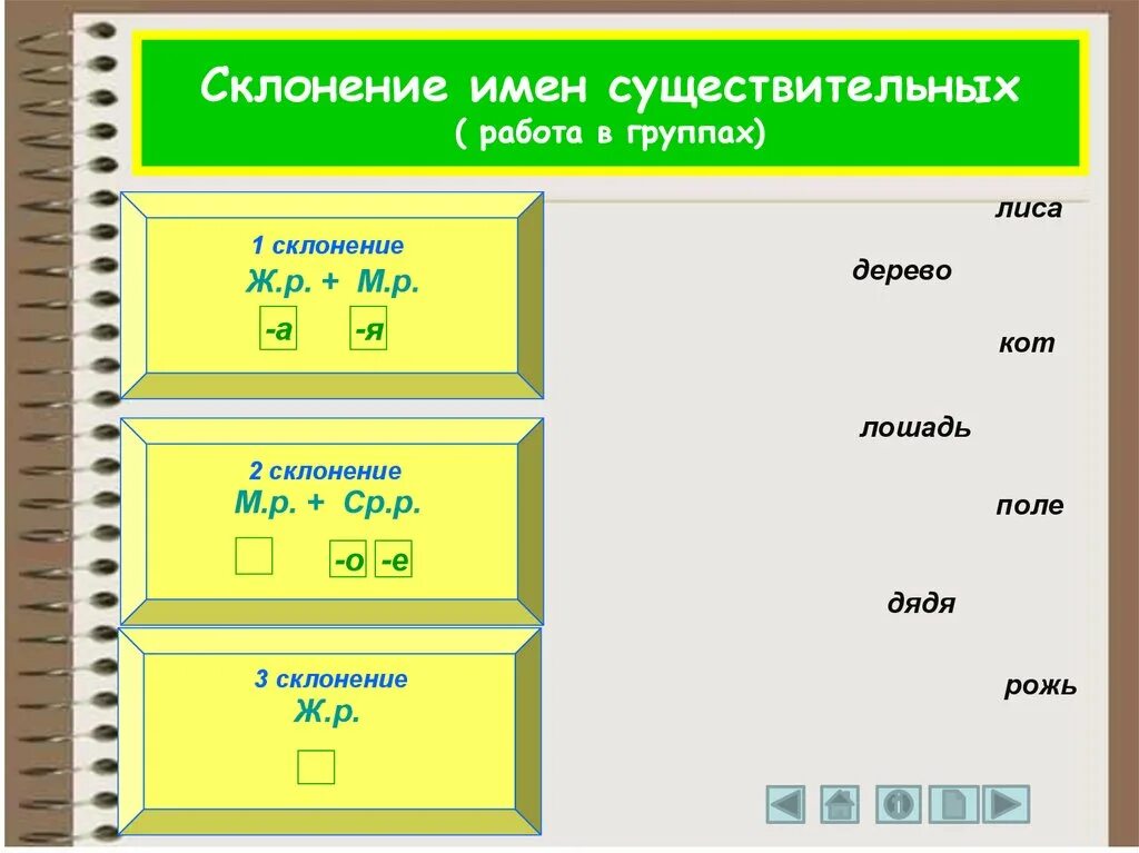 Лисица какой падеж. Лиса склонение. Рожь склонение. Лиса склонение по падежам. Просклонять лису.