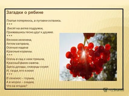 Было впечатление что мы волшебным образом побывали