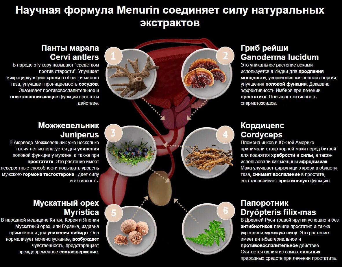 Домашний домашний лечение простаты. Препарат Менурин от простатита. Менурин состав. Менурин от простатита инструкция. Лечение простатита народными методами.