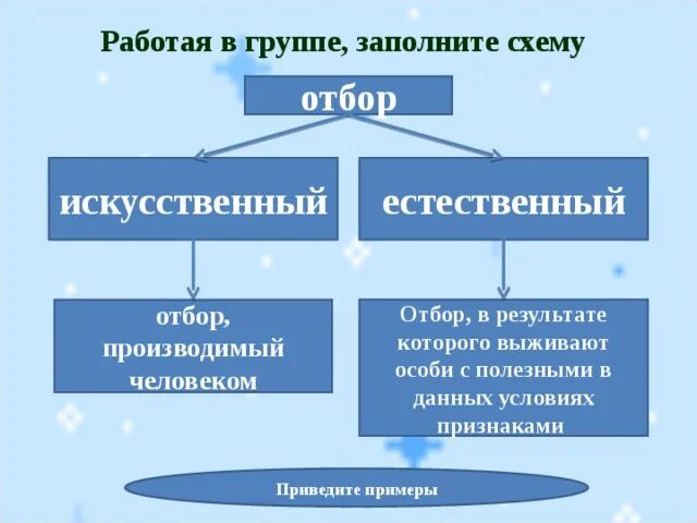 Заполните схему и объясните различия. Искусственный отбор схема. Естественный и искусственный отбор. Виды искусственного отбора схема. Естественный отбор и искусственный отбор.