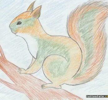 Нарисовать белку 2 класс