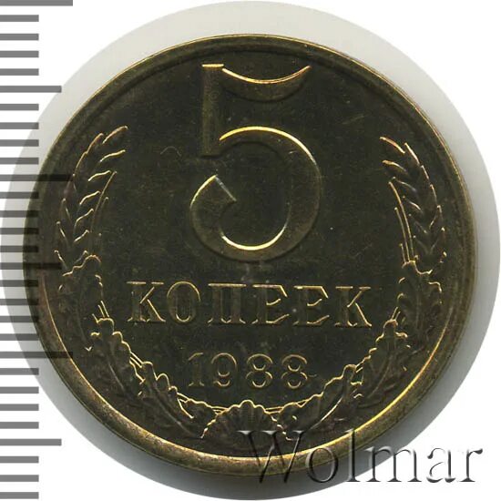 Монета 5 копеек 1988. 5 копеек 1982. реверс монет ссср. монеты ссср 1958.