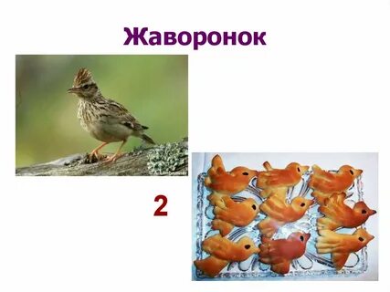Жаворонок словарное слово