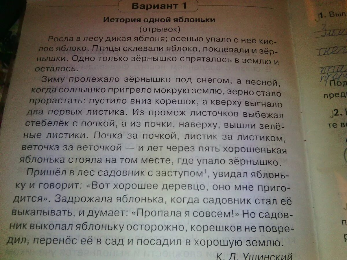 Рассказ ю ю отрывок. История одной яблоньки комплексная. вариант 1 история одной яблоньки. комплексная работа история одной яблоньки. история одной яблоньки отрывок.