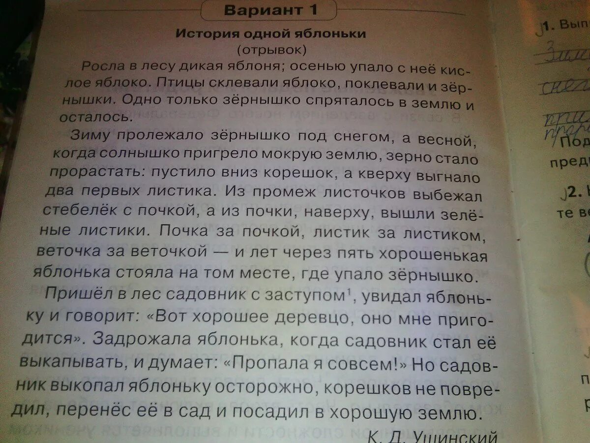 Вариант 1 история одной яблоньки. Выпиши слова в которых звуков больше. История одной яблоньки диктант. Дикая яблоня диктант.