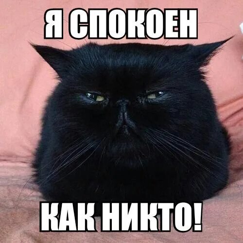 Я вообще 1