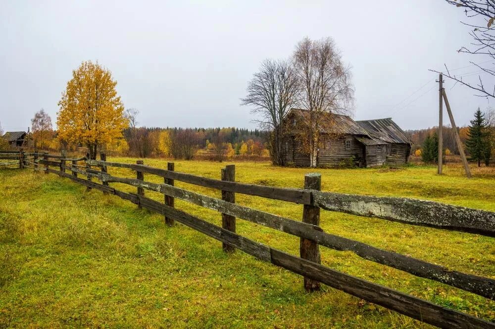 Деревенский официально. Деревня Околица Тверская область. Русская деревня Околица. Осень в России деревня. Русская деревня осень.