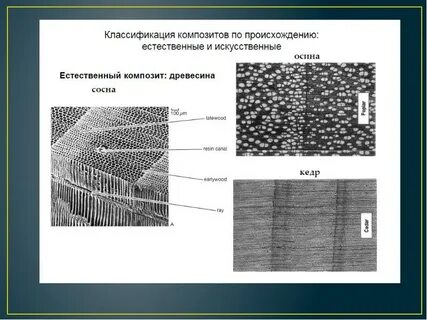 Композиционная древесина