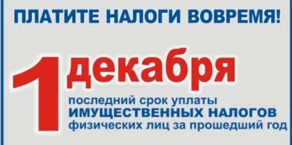 Налоги новгородская область