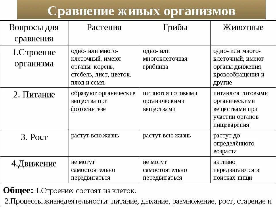 Три черты отличающие. Сравнительная таблица грибов растений и животных. Строение организма животных 5 класс биология таблица. Таблица сравнение живых организмов биология 5 класс. Таблица сравнения грибов растений и животных.