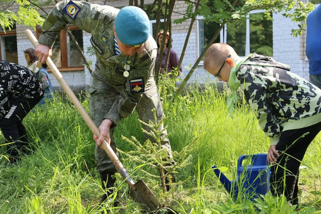 Участники сво костромской области. Сад памяти участникам сво. Кострома герои России сво. Встреча поколе.