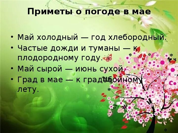 Приметы о природе. Приметы весны. Народные приметы о природе. Народные приметы о весне.