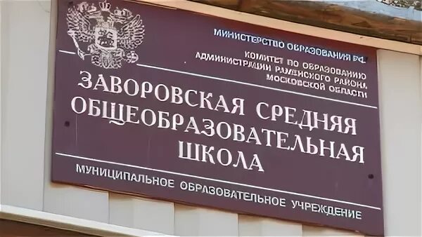 Заворовская сош раменский. Заворовская школа. моу заворовская сош.