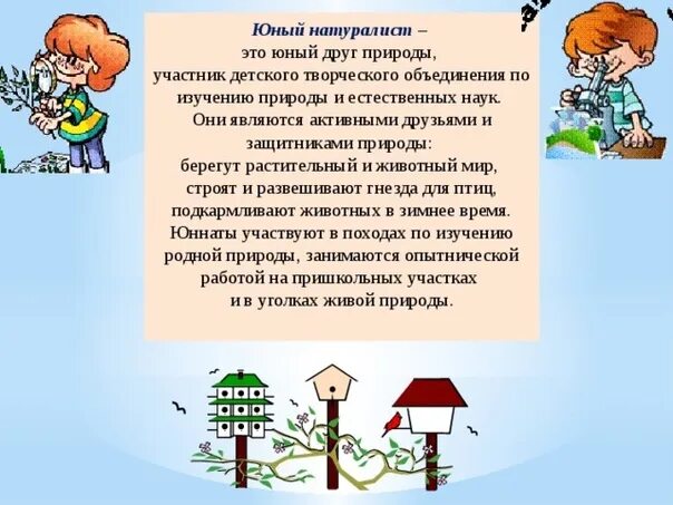 Юнном или юном правило. Юнном или юном правило. Юный свиной румяный багряный. Фон юный техник. Безопасность дорожного движения.