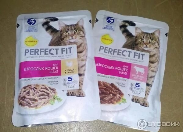 Пурина перфект. Корм для котят перфект в пакетиках. корм для котят в пакетиках перфект фит. перфект фит паштет для котят. перфект фит жидкий корм пакетики.