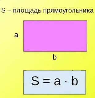 Площадь потолка