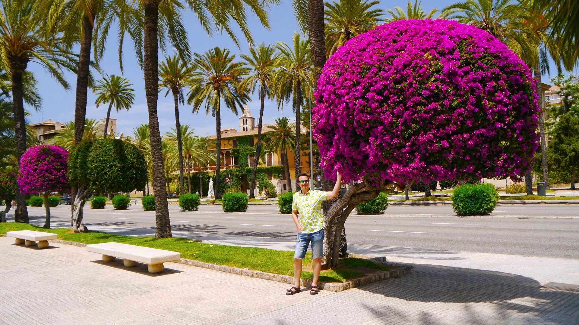 Пальма-де-майорка испания. Пальма испания. Пальма де майорка набережная. Пальма испания. Пальма-де-майорка испания.