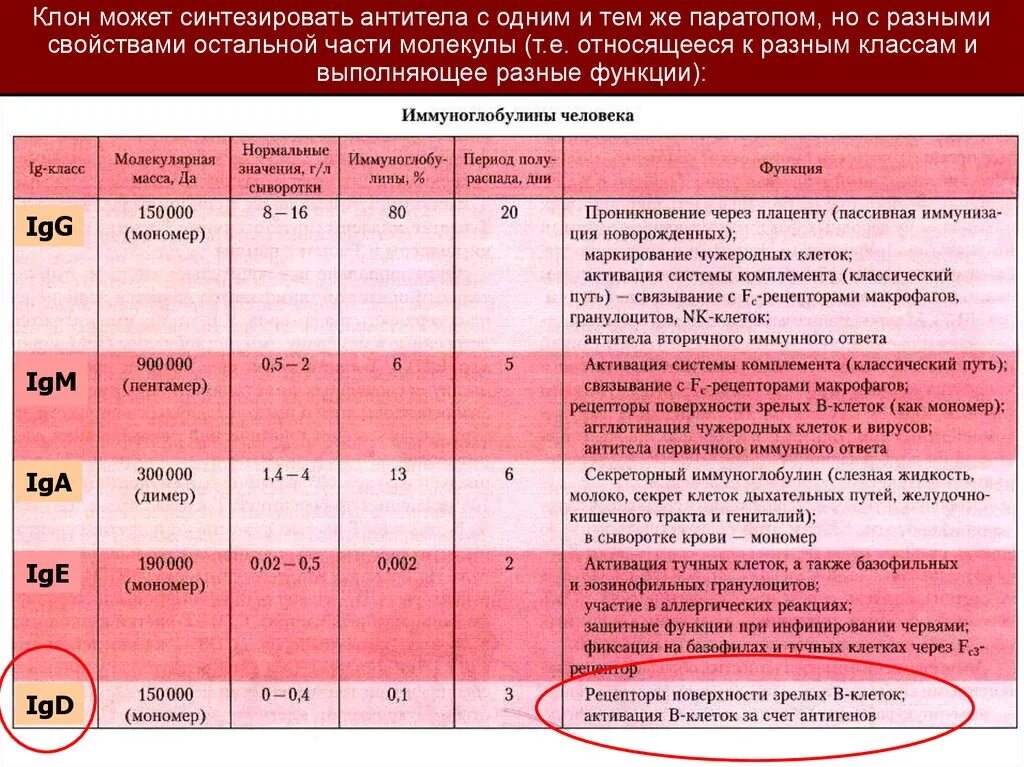 Иммуноглобулин хламидии. Норма антител в организме человека. Антитела к хламидиям. Определение иммунных антител по системе. Антитела м количество о чем говорит.