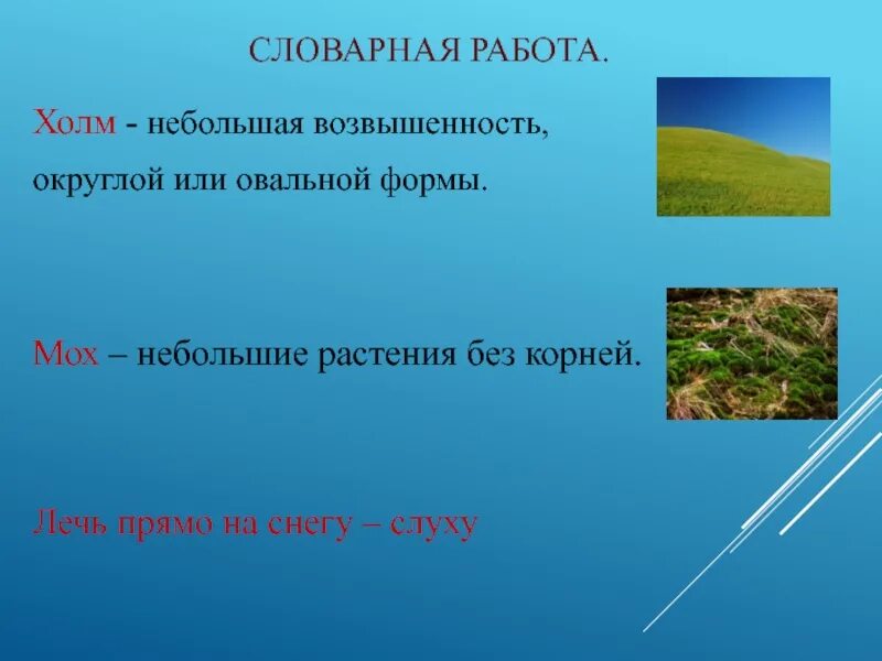 Холм Словарная работа. Небольшая возвышенность. Словарная работа растение. Небольшие возвышения.