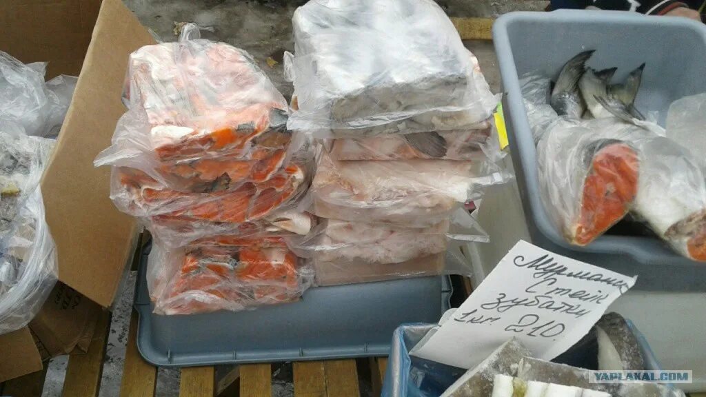 Рыба камчатки в тамбове. Антрацит саранск магазин рыба. Косарева 50 панорама. Рыба камчатки ярмарка. Антрацит рыба саранск.
