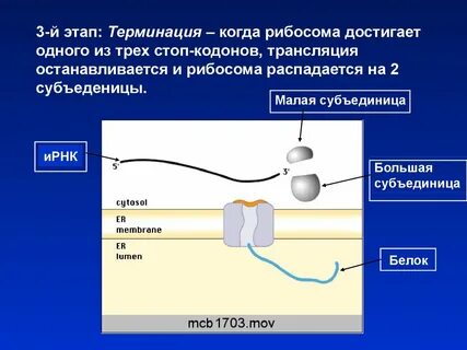 3 й этап