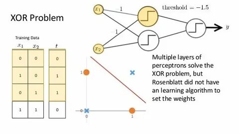 Network weights